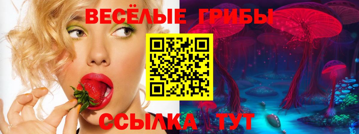 Сунжа  Псилоцибиновые грибы Cubensis  купить наркотик  Вход с VPN 