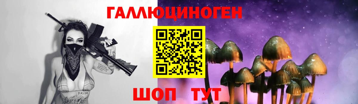 Галлюциногенные грибы мухоморы Сунжа