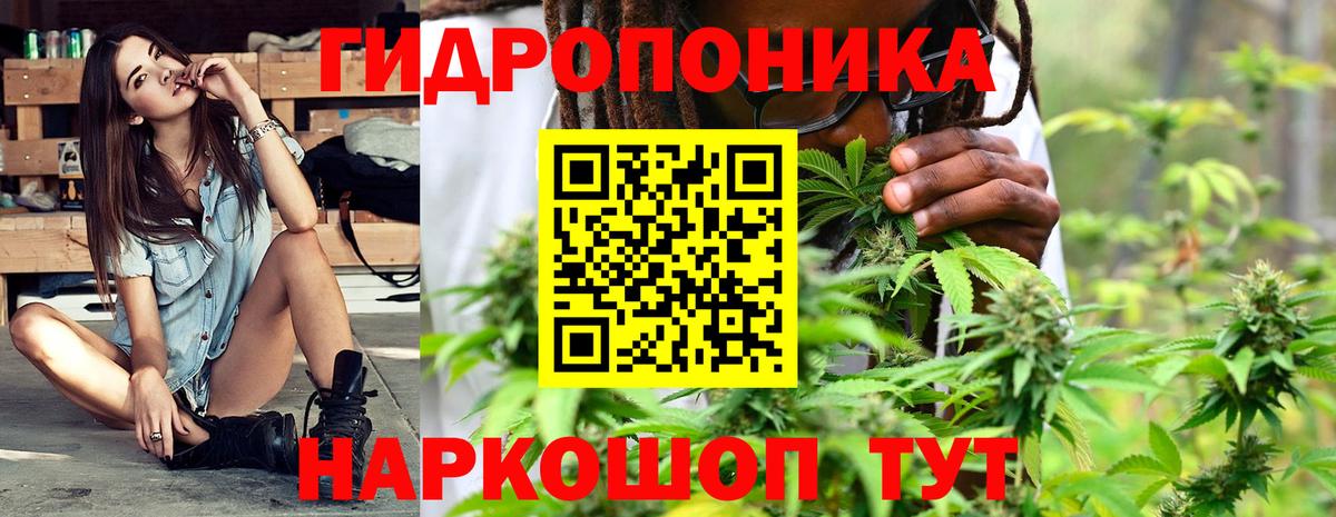 Бошки Шишки OG Kush Сунжа
